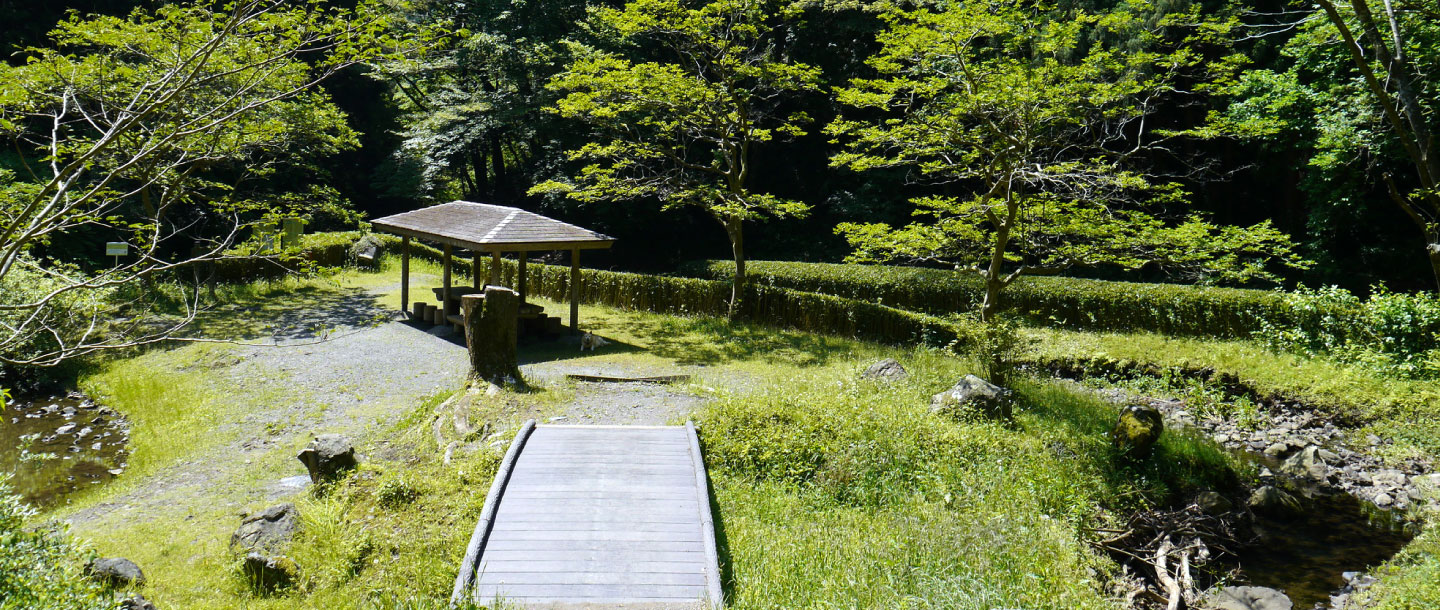 お花見広場